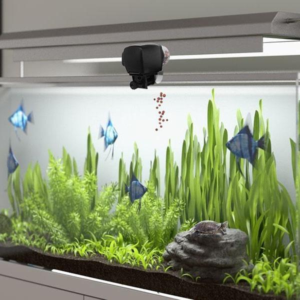 Digital Automatic Aquarium Fish Feeder - Image 7
