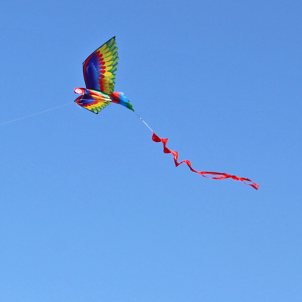 Kite Animal Kite Large Size 3D Parrot Kite 3D Parrot Kite New - Image 4