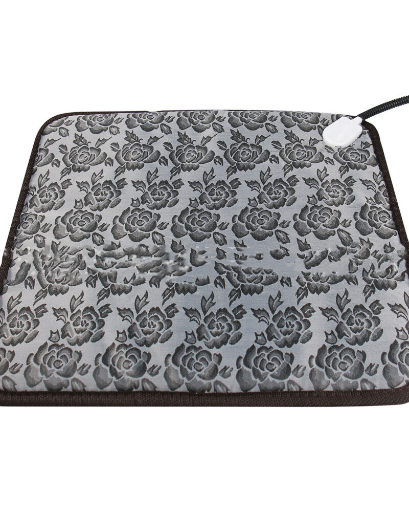 110V pet electric blanket