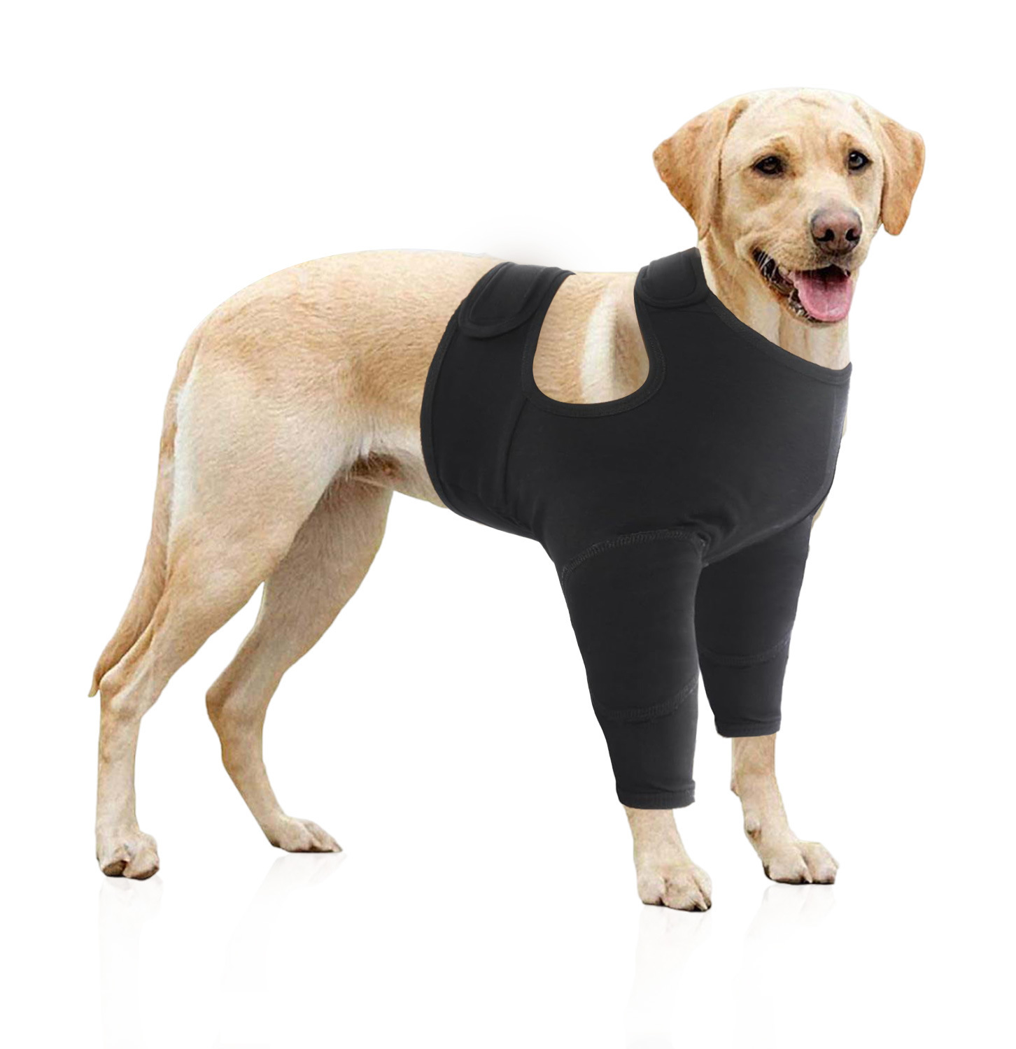 Pet Protective Gear Dog Front Leg Double Protective Gear Protective Cover - Image 6