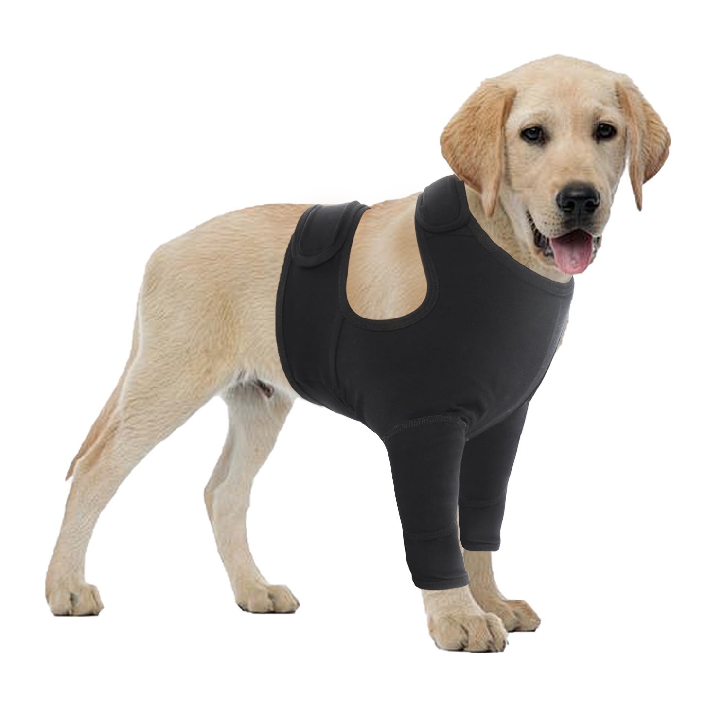 Pet Protective Gear Dog Front Leg Double Protective Gear Protective Cover - Image 5