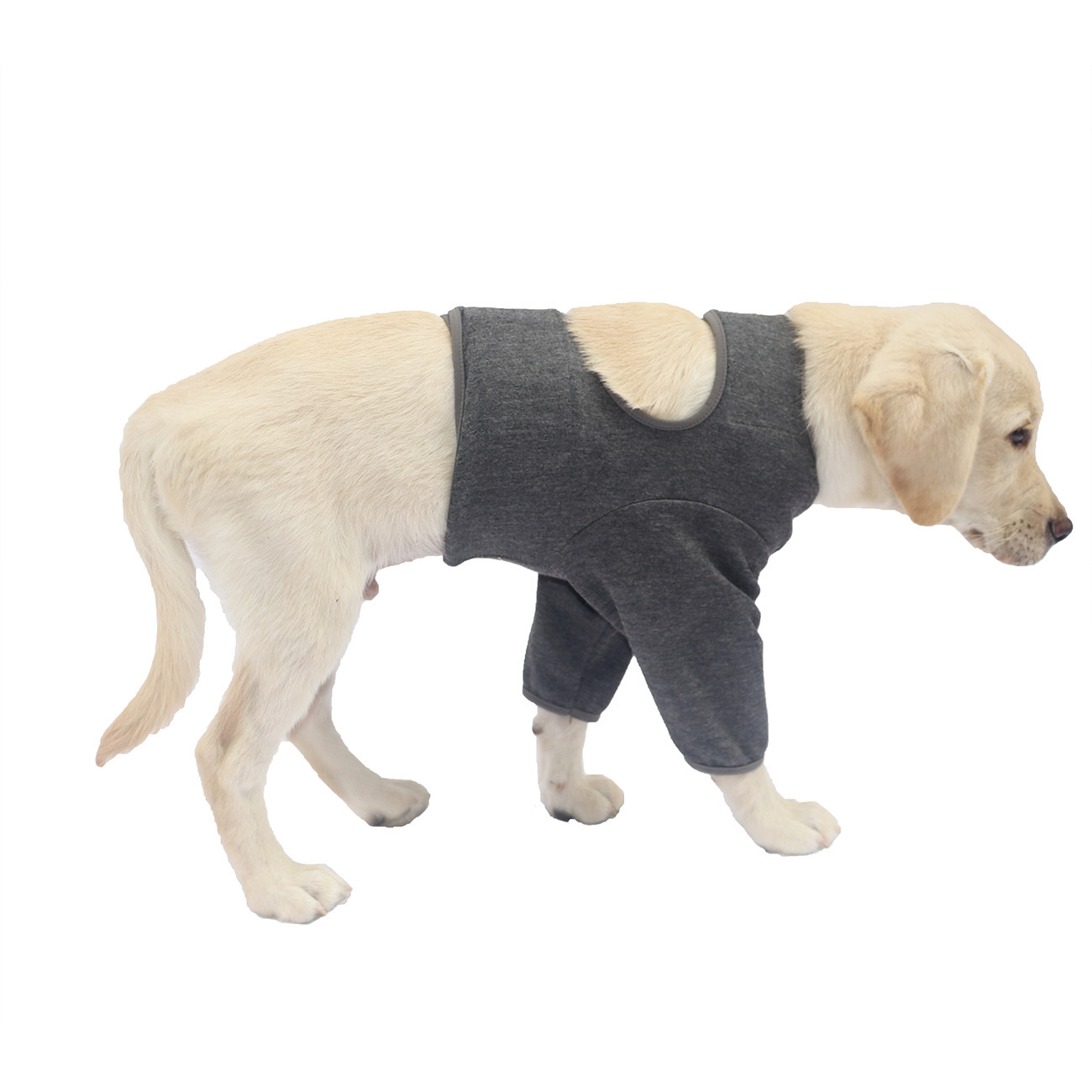 Pet Protective Gear Dog Front Leg Double Protective Gear Protective Cover - Image 3